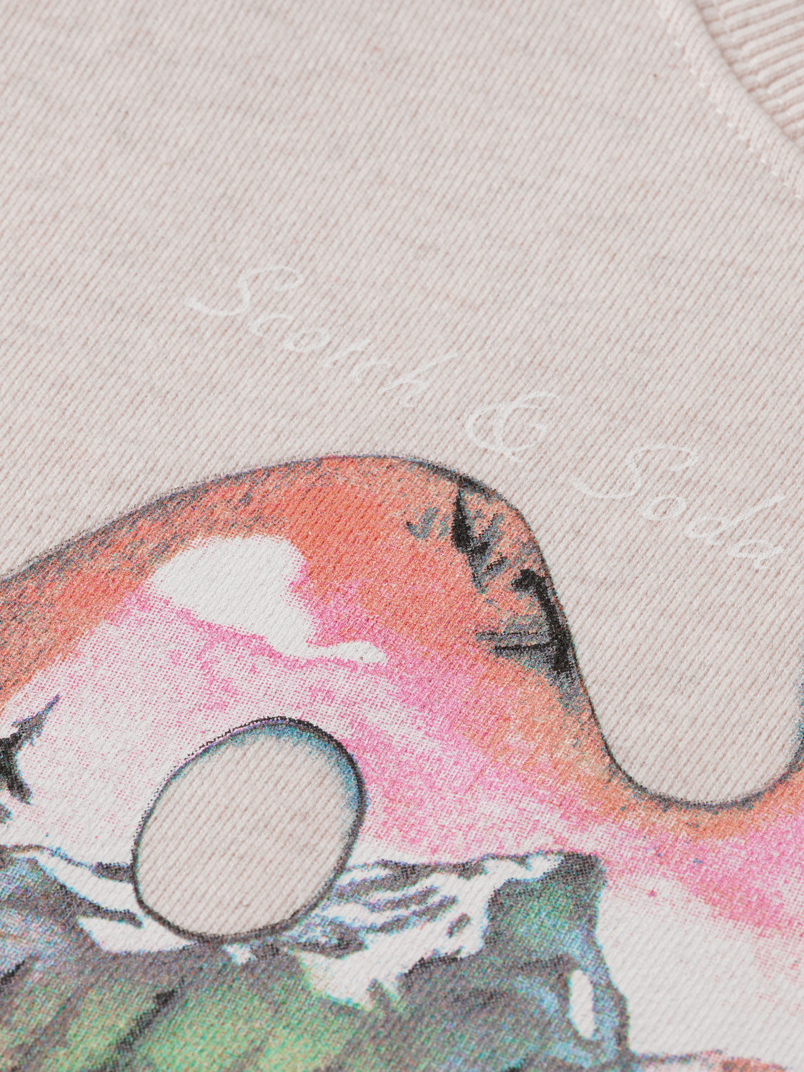 Kids - Artwork sweatshirt - Scotch & Soda AU