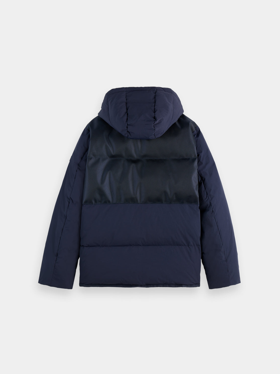 Hooded puffer jacket - Scotch & Soda AU