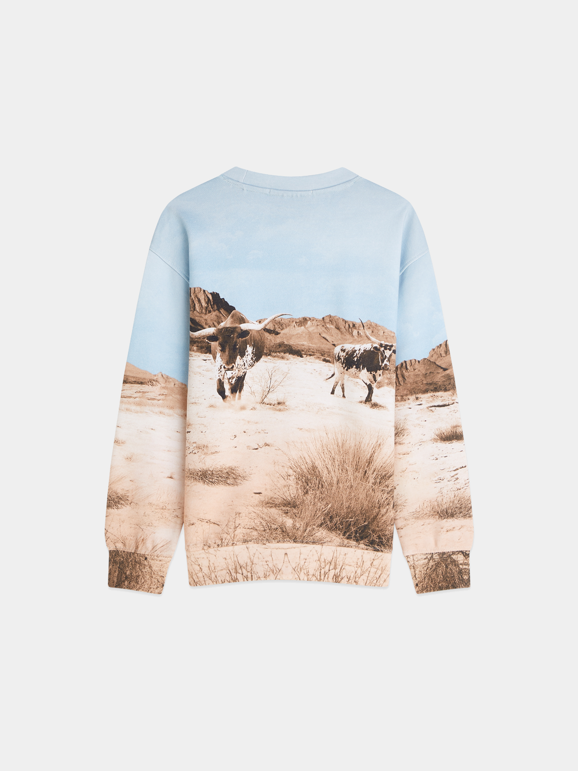 Kids - Artwork sweatshirt - Scotch & Soda AU