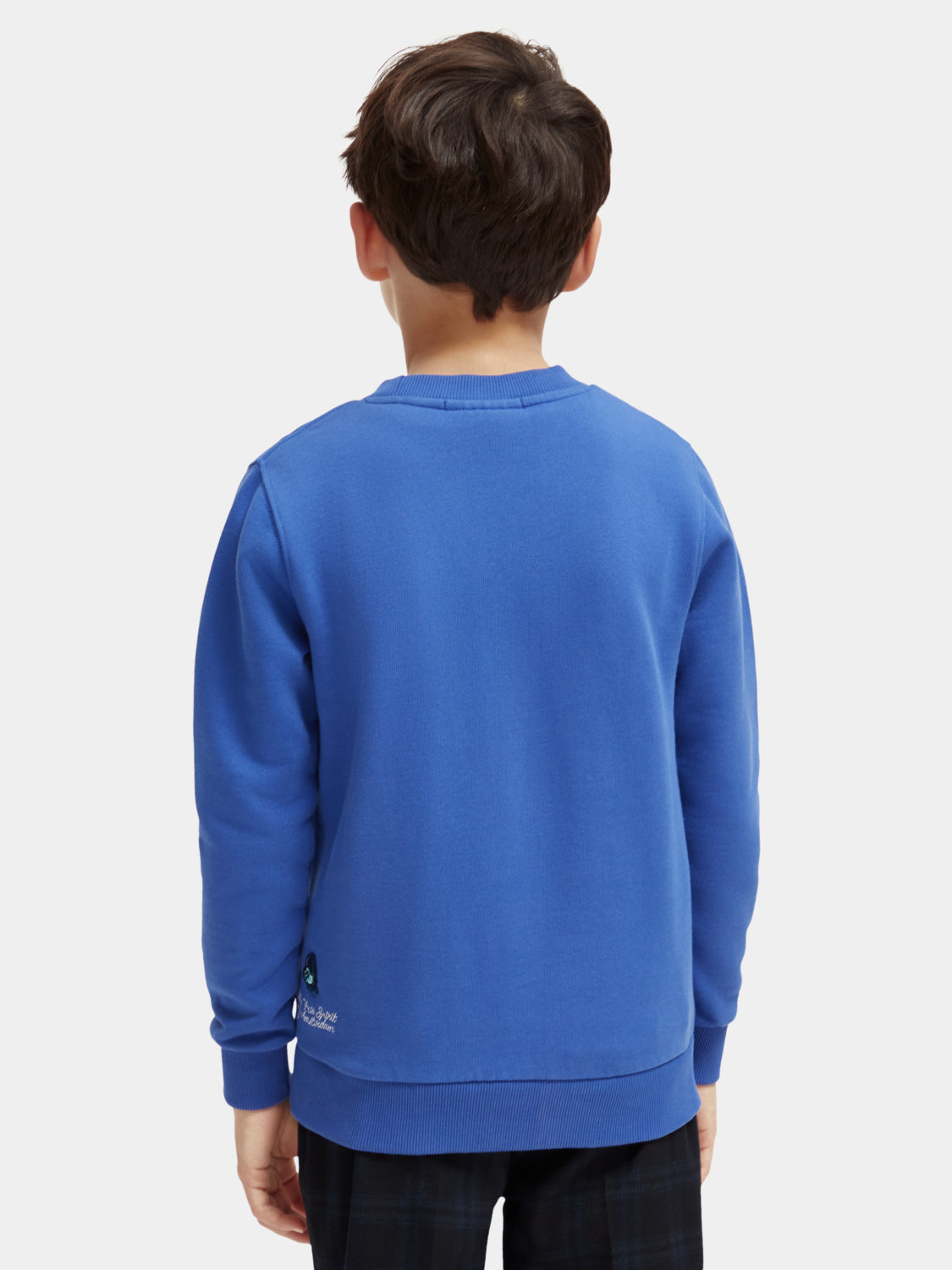 Kids - Regular-fit crewneck artwork sweatshirt - Scotch & Soda AU
