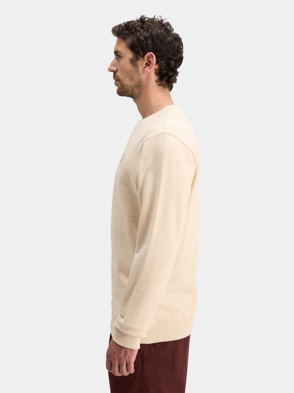Logo badge sweatshirt - Scotch & Soda AU
