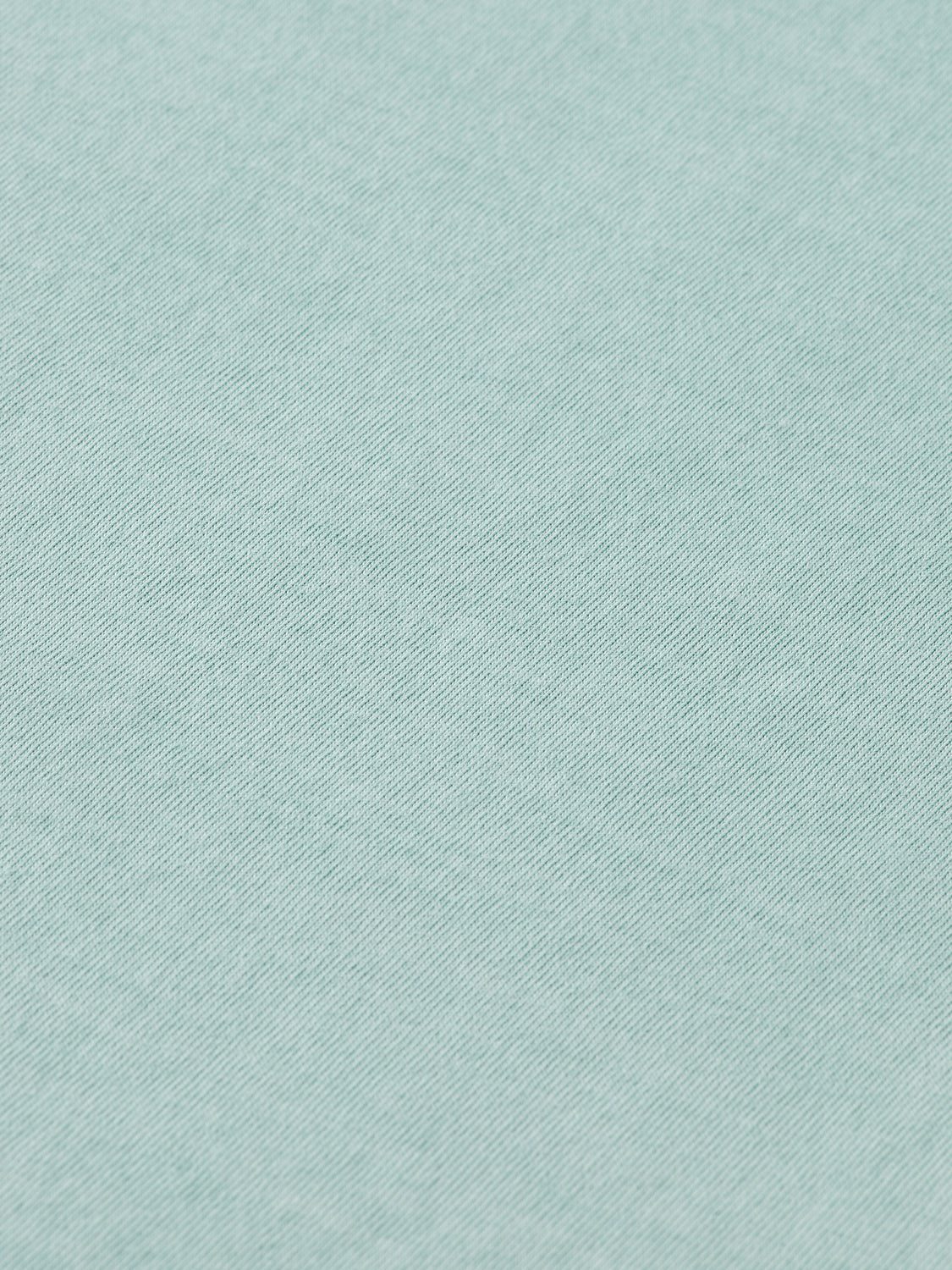 Raw edge garment-dyed t-shirt - Scotch & Soda AU