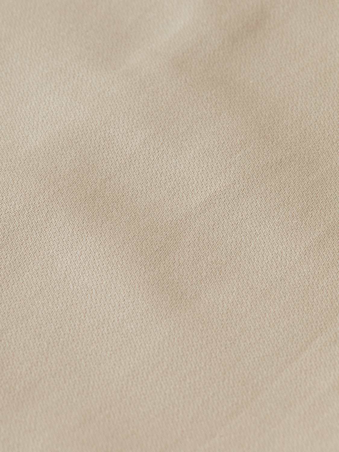 Rose pleated high-rise pants - Scotch & Soda AU