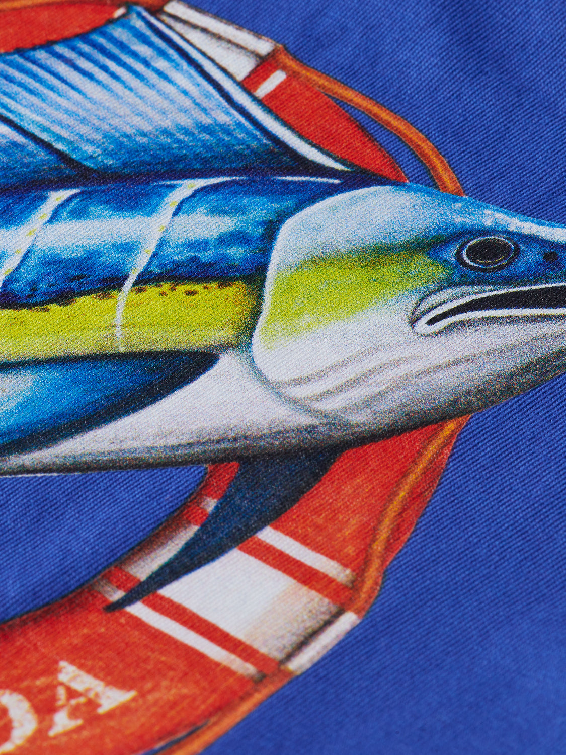 Kids - Artwork t-shirt - Scotch & Soda AU