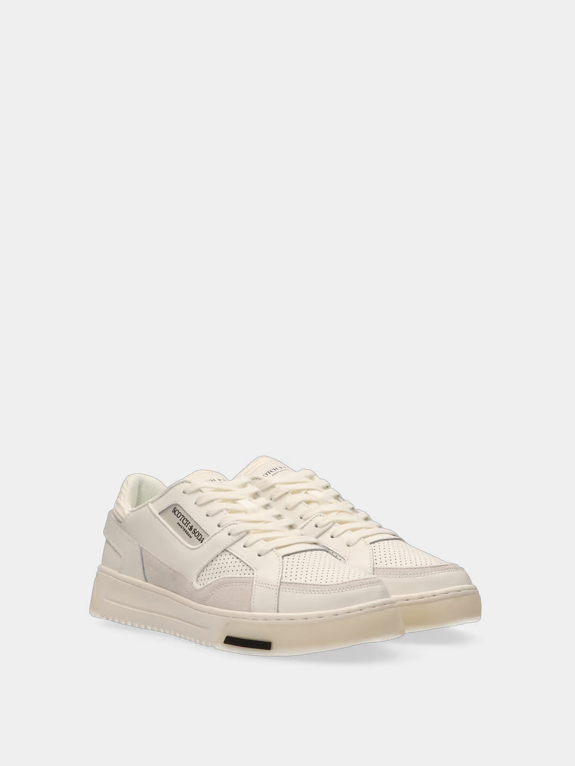 New Cup sneakers - Scotch & Soda AU
