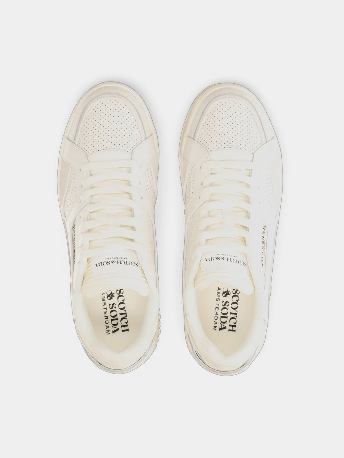 New Cup sneakers - Scotch & Soda AU