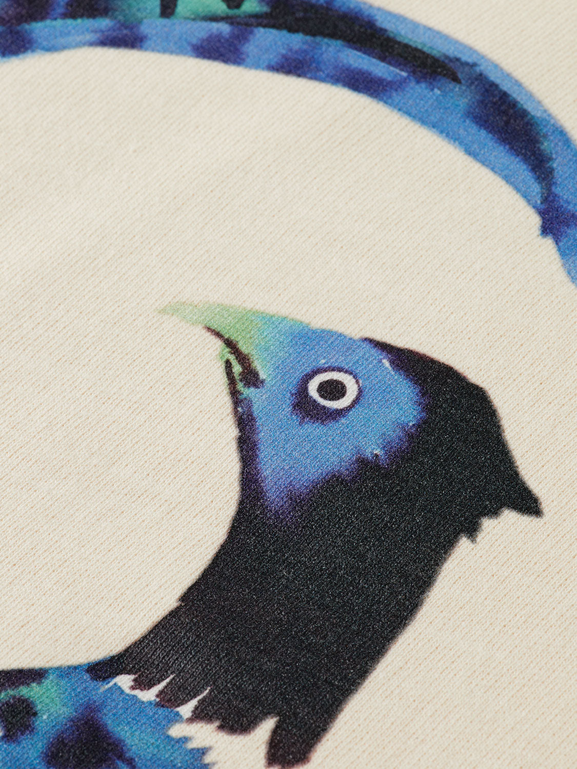 Washed artwork sweatshirt - Scotch & Soda AU