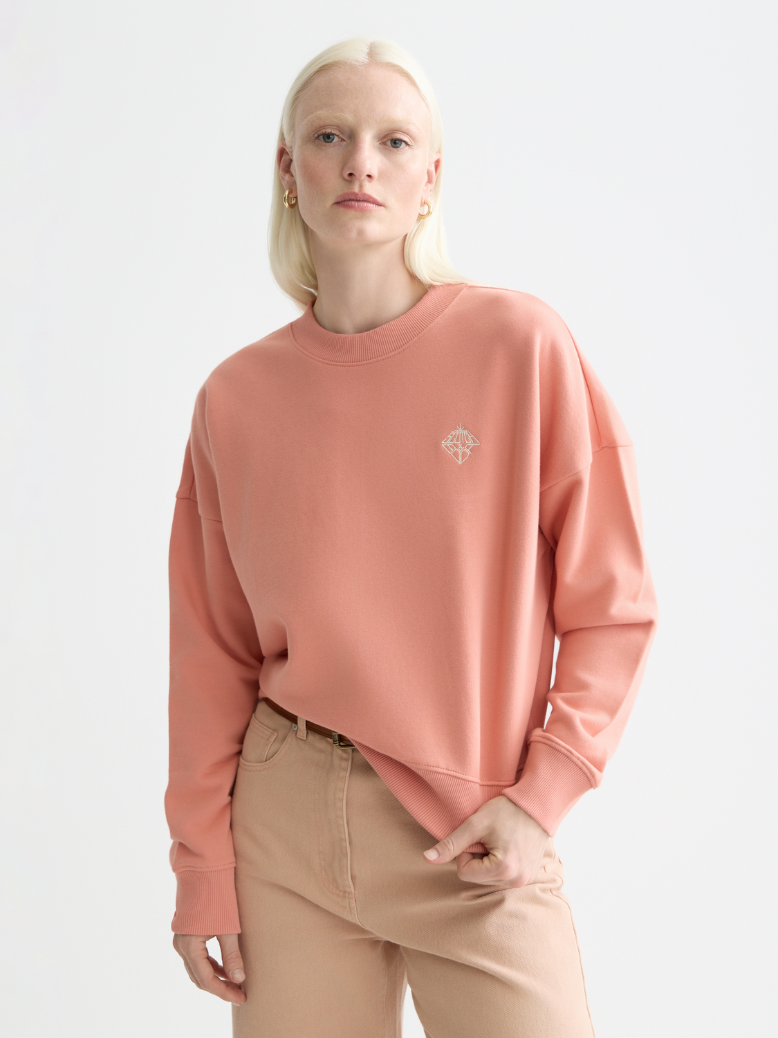 Embroidered logo sweatshirt - Scotch & Soda AU