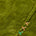 Swatch image for Green