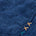 Swatch image for Blue