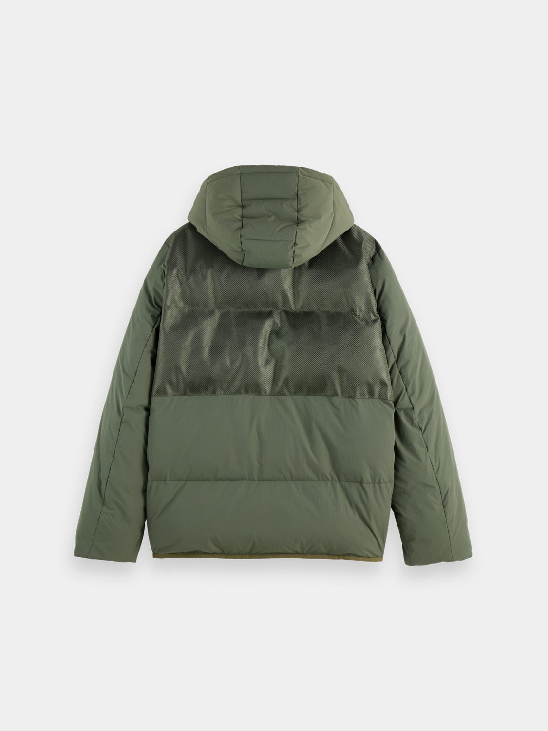 Hooded puffer jacket - Scotch & Soda AU