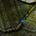 Swatch image for Green