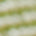 Swatch image for Green