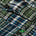 Swatch image for Green