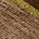 Swatch image for Brown