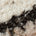 Swatch image for Brown