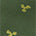 Swatch image for Green