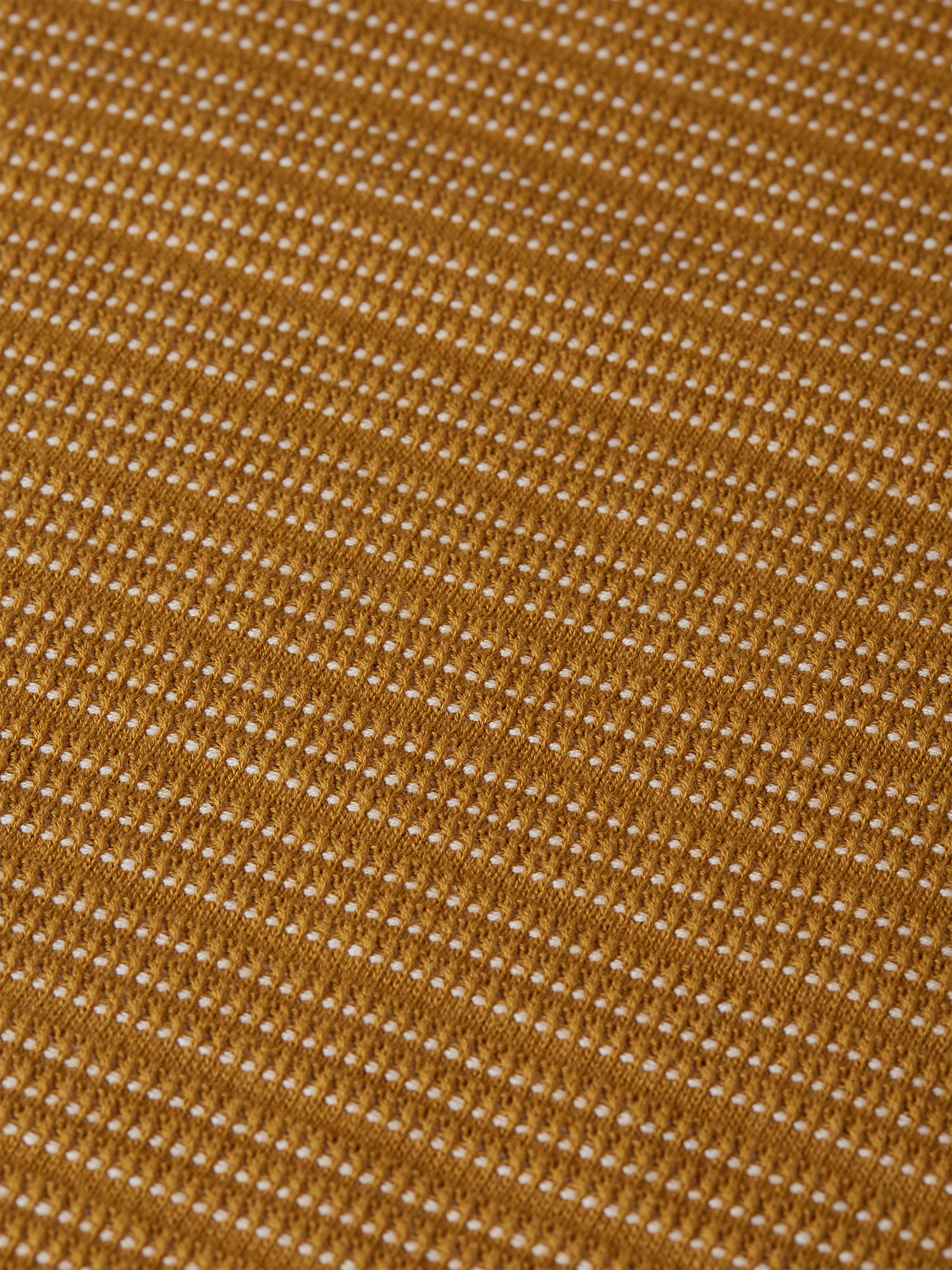 Knitted polo - Scotch & Soda AU