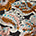 Swatch image for Brown