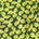 Swatch image for Green