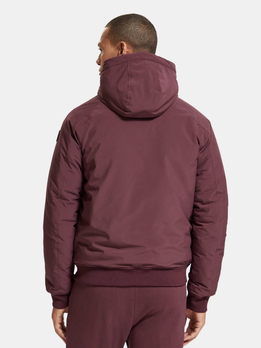 Stretch padded hooded jacket - Scotch & Soda AU