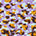 Swatch image for Multicolour