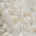 Swatch image for Beige