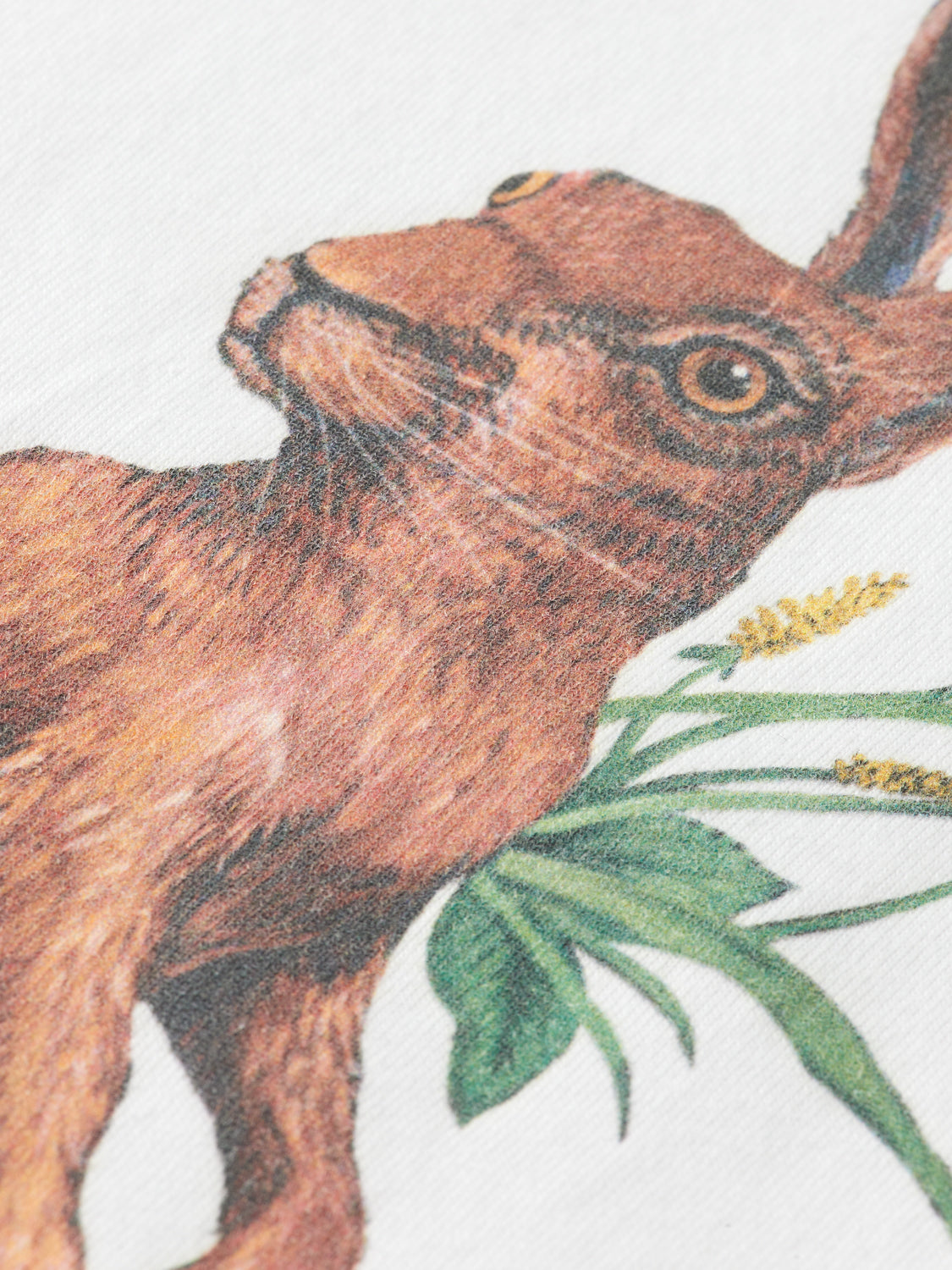 Kids - Artwork t-shirt - Scotch & Soda AU