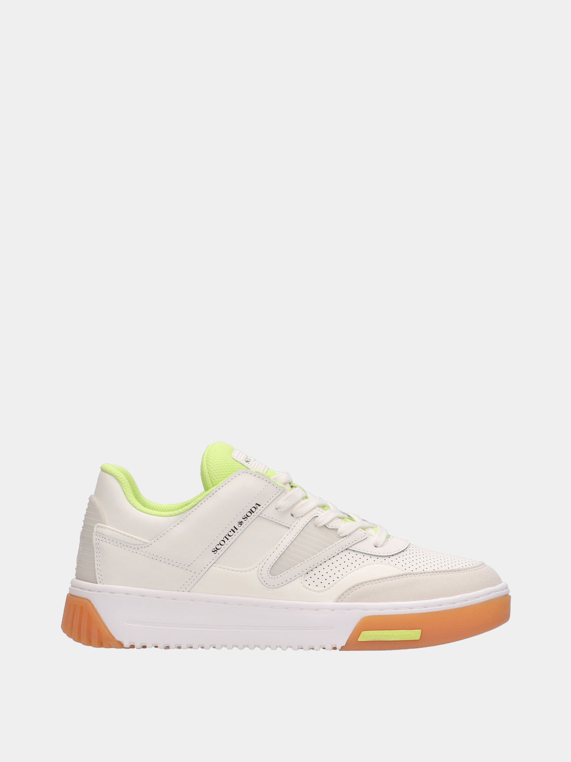 New Cup sneakers - Scotch & Soda AU