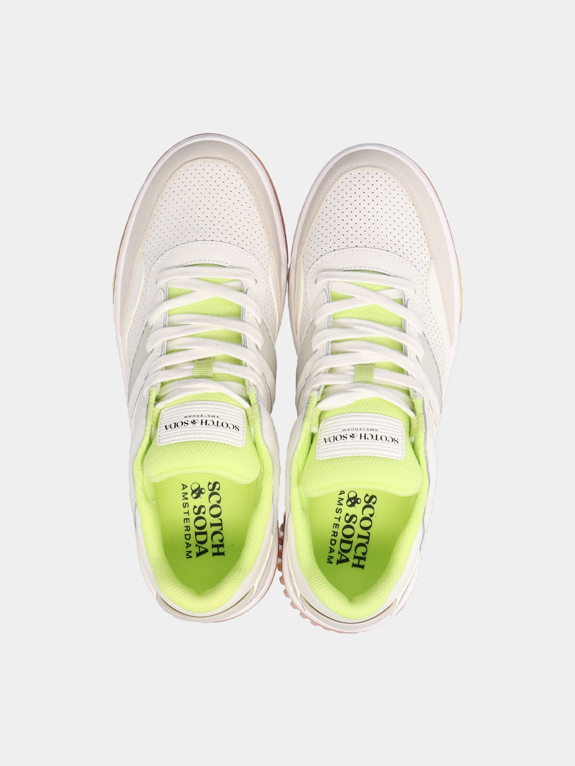 New Cup sneakers - Scotch & Soda AU