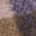 Swatch image for Multicolour