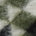 Swatch image for Green