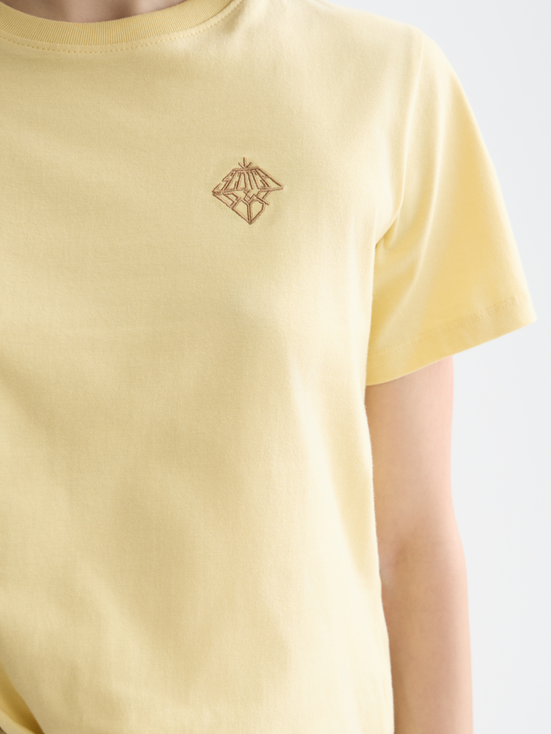 Embroidered t-shirt - Scotch & Soda AU