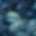 Swatch image for Blue