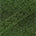 Swatch image for Green