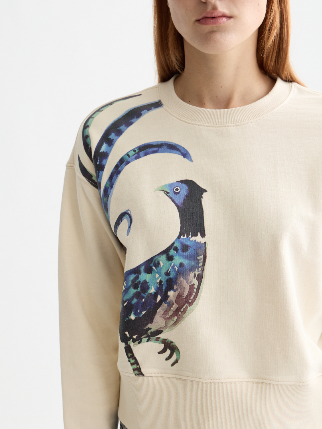 Washed artwork sweatshirt - Scotch & Soda AU