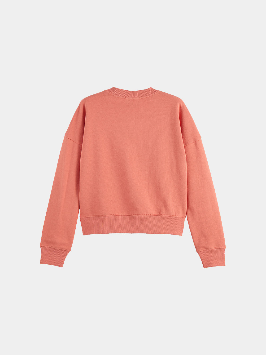 Embroidered logo sweatshirt - Scotch & Soda AU