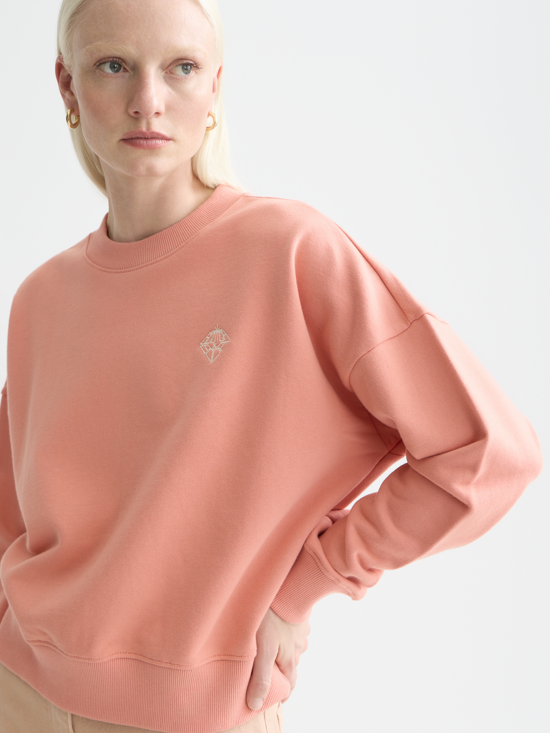 Embroidered logo sweatshirt - Scotch & Soda AU