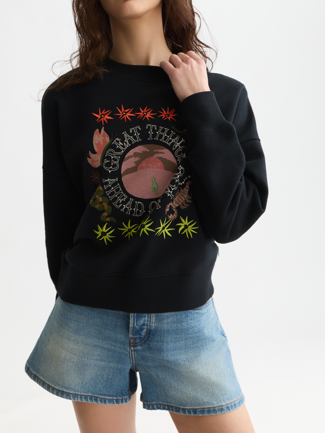 Artwork sweatshirt - Scotch & Soda AU