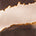 Swatch image for Brown