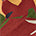 Swatch image for Red